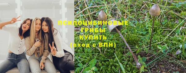 не бодяженный Балахна