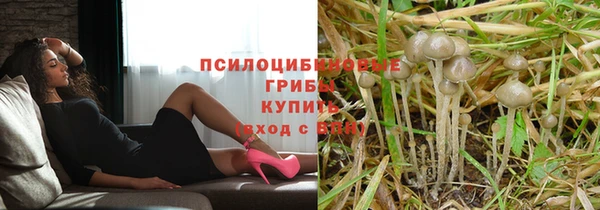 сатива Балабаново