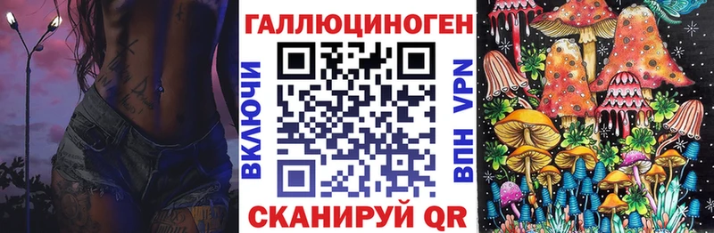Галлюциногенные грибы Psilocybe Богучар